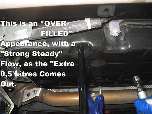 File:Over Filled Appearance – Strong Steady Stream DIY Transmission Flushing Procedure.jpg